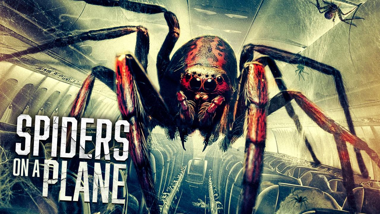 فيلم Spiders On A Plane 2024 مترجم كامل HD